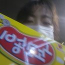 아트카라운지 | 9월 4주_ 쿨키드네버다이