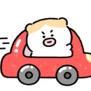 국진남 주안점