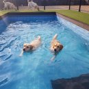 태담이네 하우스 이미지