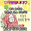 토요일 이미지