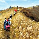 석전동 주민운동장 족구장 | 국립 오서산 자연휴양림 (대전/충남)