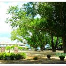 임고초등학교 이미지