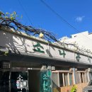 소나무집 | 호불호 갈리는 오징어찌개 대전 맛집 소나무집 내돈내산 후기