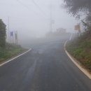 판관오리 이미지