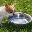 24시해든동물메디컬센터 이미지