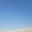 신은경로당 | 2024 김제 지평선축제 개막일 방문 후기 (멀티미디어쇼 최고)