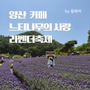 인형속으로 | [양산 카페] 보랏빛 물결 가득한 대형 카페 '느티나무의 사랑' 라벤더 축제 후기💜(ft. 개화 상황)