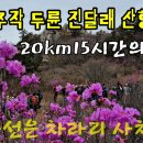 덕룡 주작 두륜산 진달래종주산행 이미지