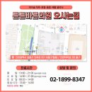 엘정형외과 네이버블로그