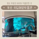 부산 영도 국립해양박물관 방문 후기 아이와 실내 나들이 추천 수유실 정보 어린이박물관 4D 영화관