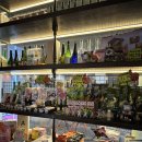 [강서구/발산] 발산역 가성비 술집 “ 하나마토” 후기