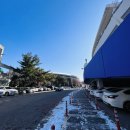 한국육체미체육관 | vs 서울SK나이츠 직관후기] 선수만 백투백 경기를...백투백 갑니다~ (안양실내체육관 1층 7구역 G열 시야)