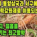 구기자나무(구기자,지골피)―눈에 띄게 정력이 저하되고 힘이 없어 처지는 남성 및 갱년기 여성에게 힘을 주는 약재 조회수 5.1만회 3년 이미지