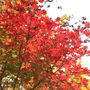 양평밸리 이미지