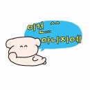 돈땡기네 | 아침에 눈을 뜨면 지난밤이 궁금해
