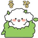 시청로 2(버스정류장) 이미지