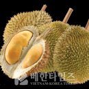 두리안