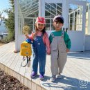 동탄나무로 이미지