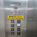 동춘당로114번길 | 대전 송촌동 헬스장 헬스보이짐 x 필라걸 송촌점 방문 후기
