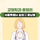 서울특별시 송파구 풍납동 교정치과 총정리