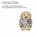 마 니 농구 중독이다 !!!