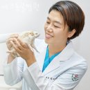 에코동물병원 | 송파구 가락동 동물병원 에코동물병원 진료시간 접근성 이용후기