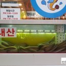 새벽기장왕꼼장어