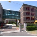 서울중평초등학교 이미지