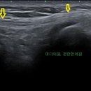 마디의원;편한한의원 이미지