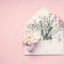 세계행정사 이미지