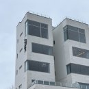 스테이수안 이미지