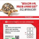 꿈꾸는팩토수학