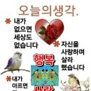 이제염오