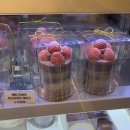 블로썸 | 대전 두바이 케이크 맛집 송촌동 오렌지블로썸 내돈 내산 후기