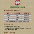 딸기 농장 수