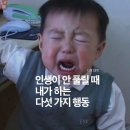 콩원장 댕댕묭실 | 2025 - 8월 여름밤을 눈물로 가득 채웠어요