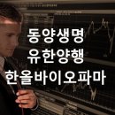 동양양행