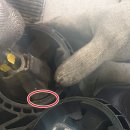 오토오아시스일산그린점 이미지