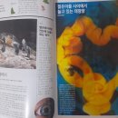 내셔널지오그래픽 구독 할인&선물증정 북서 항로에 얽힌 수수께끼 이미지