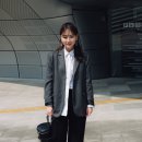 디클립