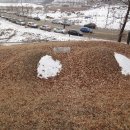 정유선생묘 이미지