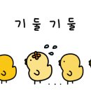 자갈마당포차 이미지