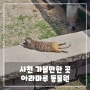 거북마루로 | 사천 가볼 만한 곳, 아라마루 동물원 후기 - 예쁜 동물들이 가득한 곳