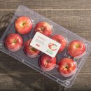 농업회사법인 주식회사 루비에스영천유통 이미지