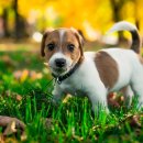 위너스 동물병원 이미지