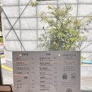 참조은면가 네이버블로그