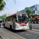 영태1리 이미지