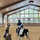 소노펠리체 승마클럽 | 아이랑 가볼만한 곳 ::: 소노펠리체 승마클럽 / 아이와 함께 승마 체험 / 홍천 비발디파크 여행