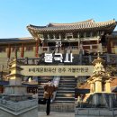 자하문호텔 | 경주 불국사 입장료 주차장 가격 운영시간 최신 근황