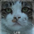 나무마당 이미지